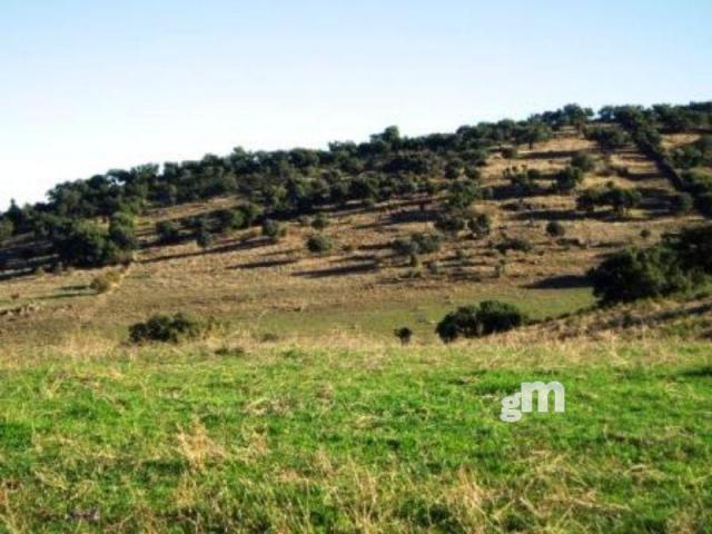 Venta de finca rústica en Segura de León