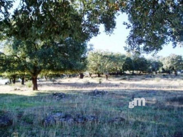 Venta de finca rústica en Segura de León