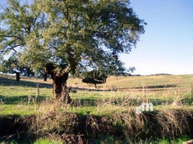 Venta de finca rústica en Segura de León