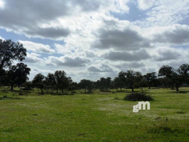 Venta de finca rústica en Todas