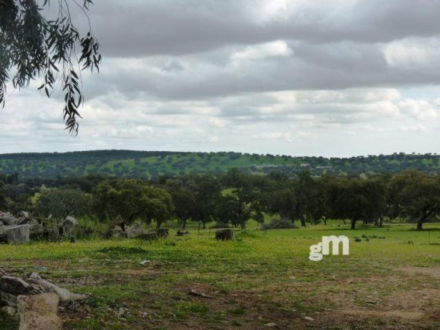 Venta de finca rústica en Todas