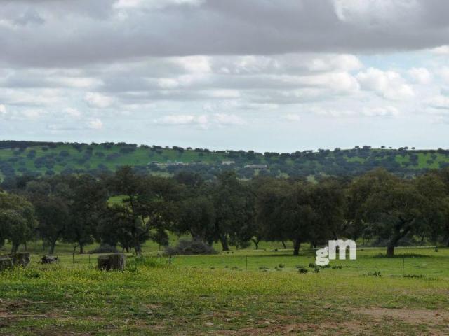 Venta de finca rústica en Todas