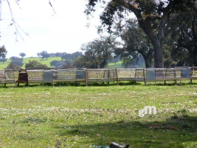 Venta de finca rústica en Todas