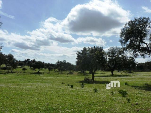 Venta de finca rústica en Todas