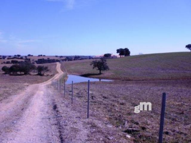 For sale of rural property in Alájar