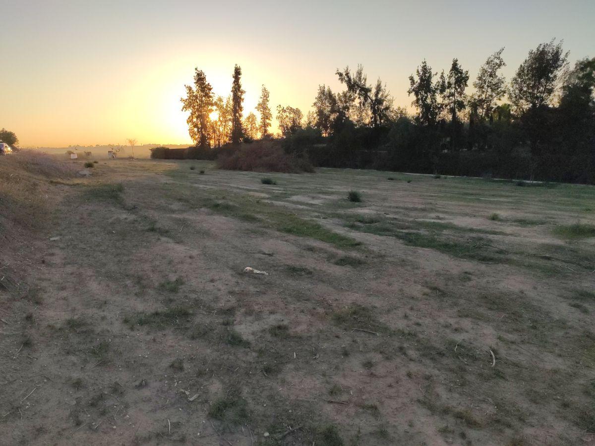 Venta de finca rústica en Bormujos