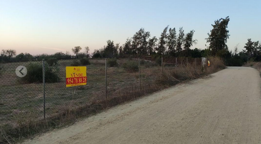 Venta de finca rústica en Bormujos