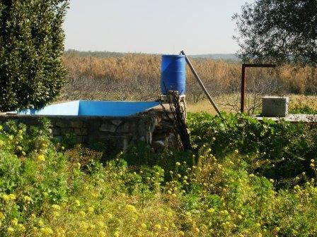 Venta de finca rústica en Bormujos