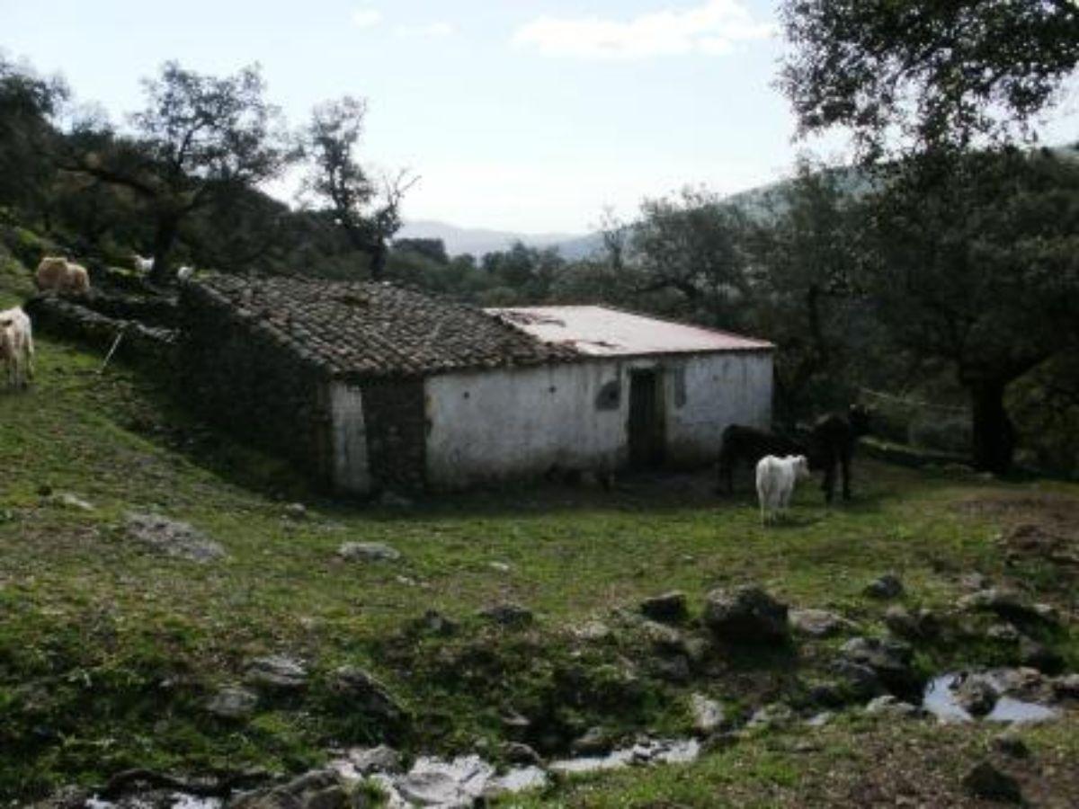 Venta de finca rústica en Fuentes de León