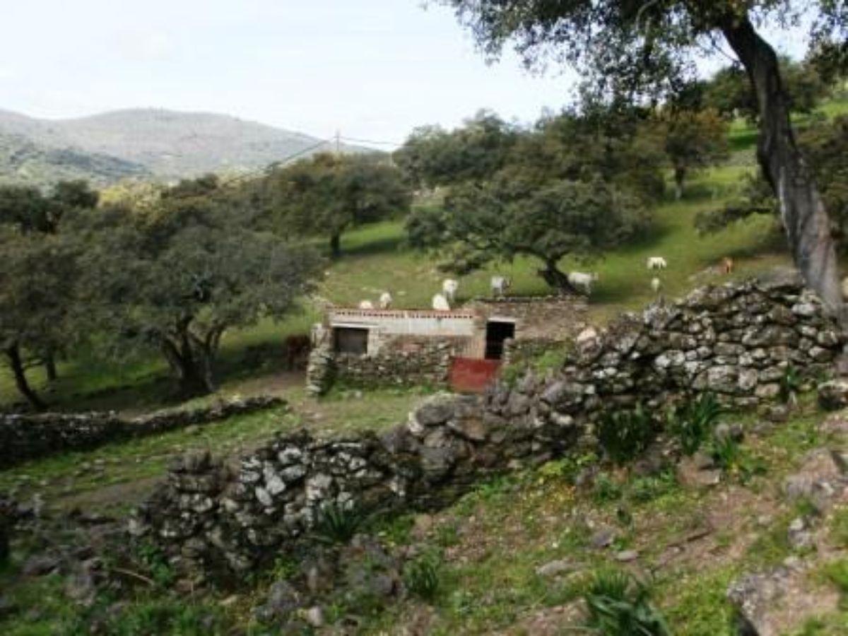 For sale of rural property in Fuentes de León