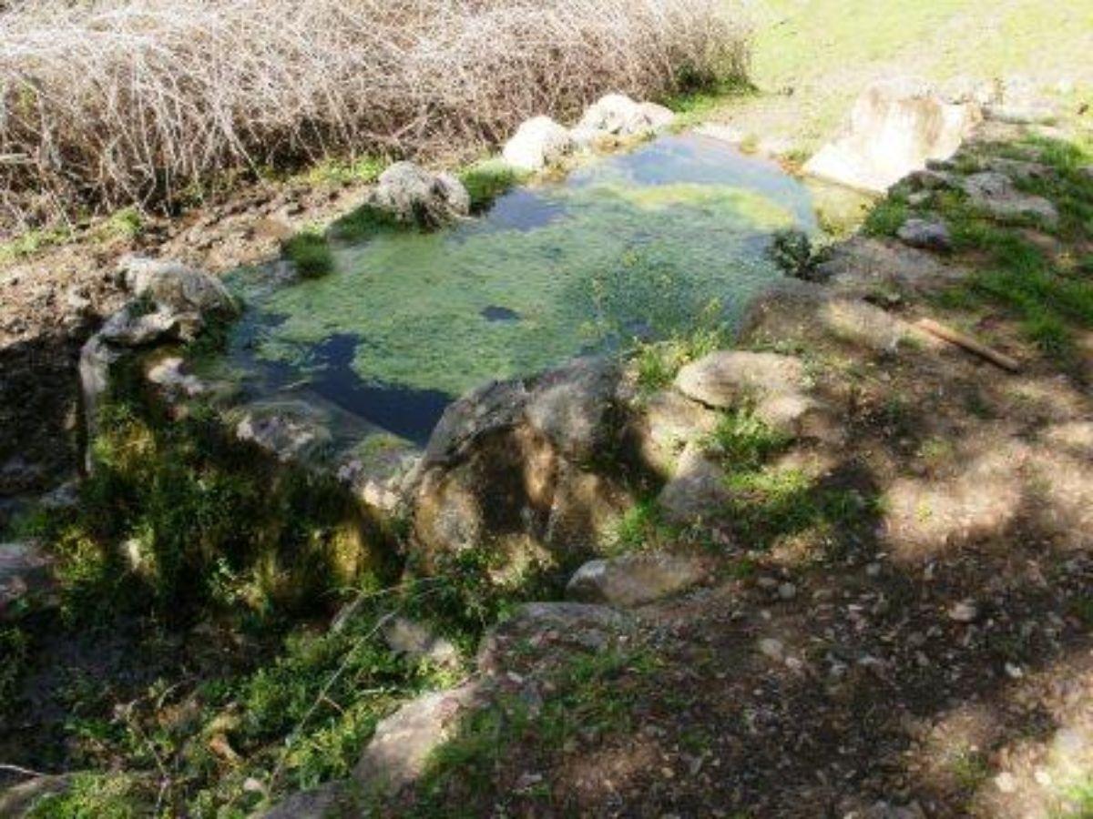 For sale of rural property in Fuentes de León