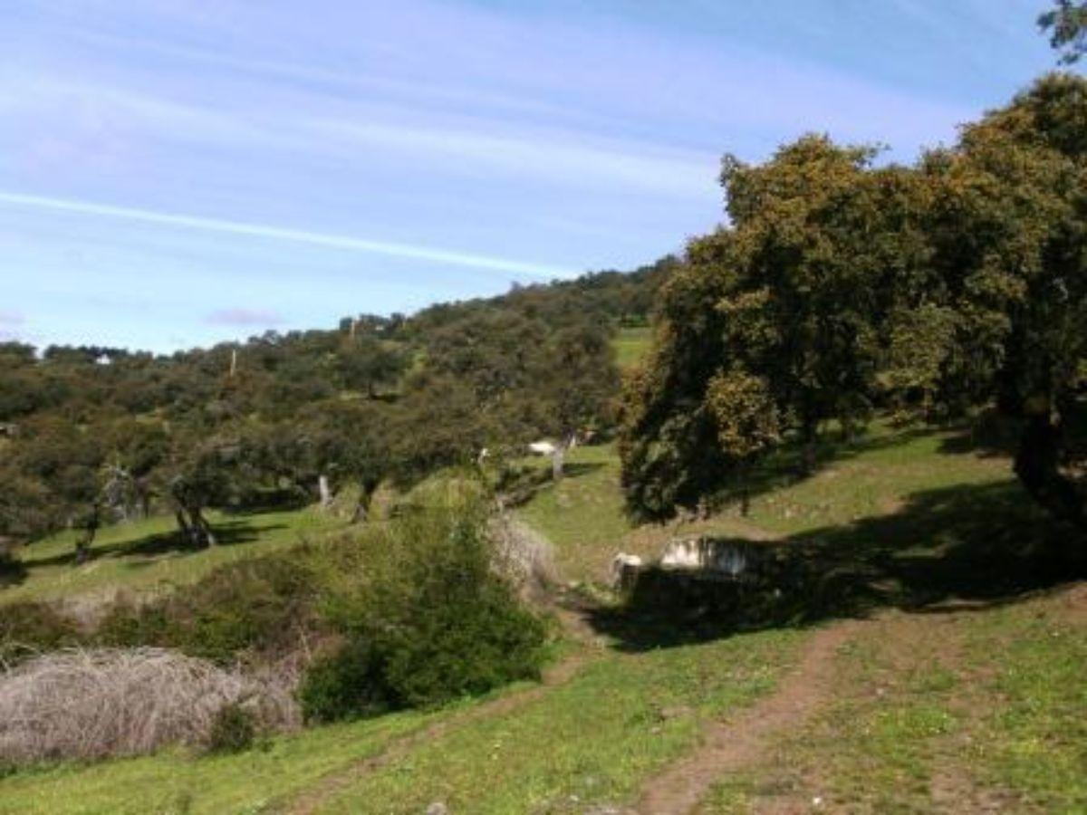 For sale of rural property in Fuentes de León