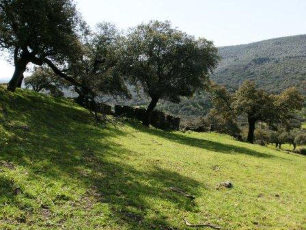 For sale of rural property in Fuentes de León