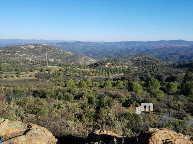 For sale of rural property in Zalamea la Real