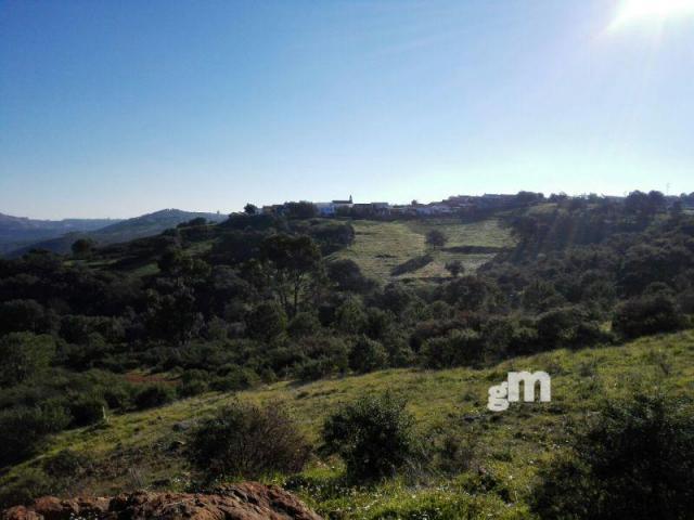 Venta de finca rústica en Zalamea la Real