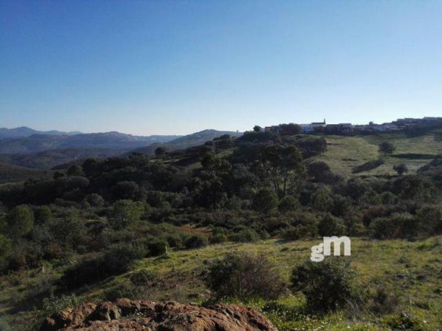 For sale of rural property in Zalamea la Real