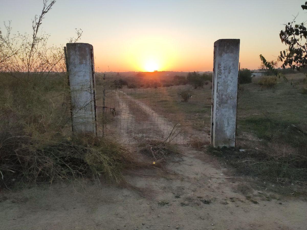 Venta de finca rústica en Bormujos