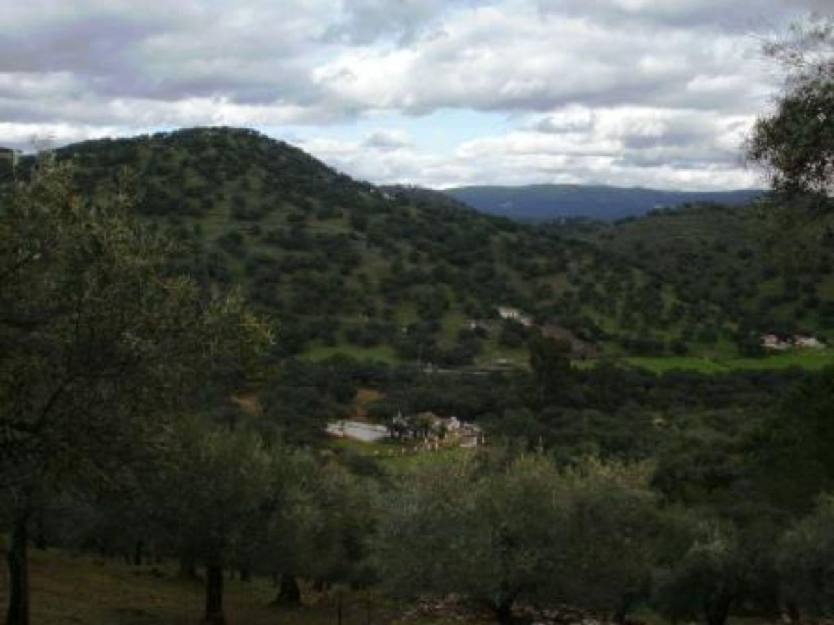 Venta de finca rústica en Fuentes de León