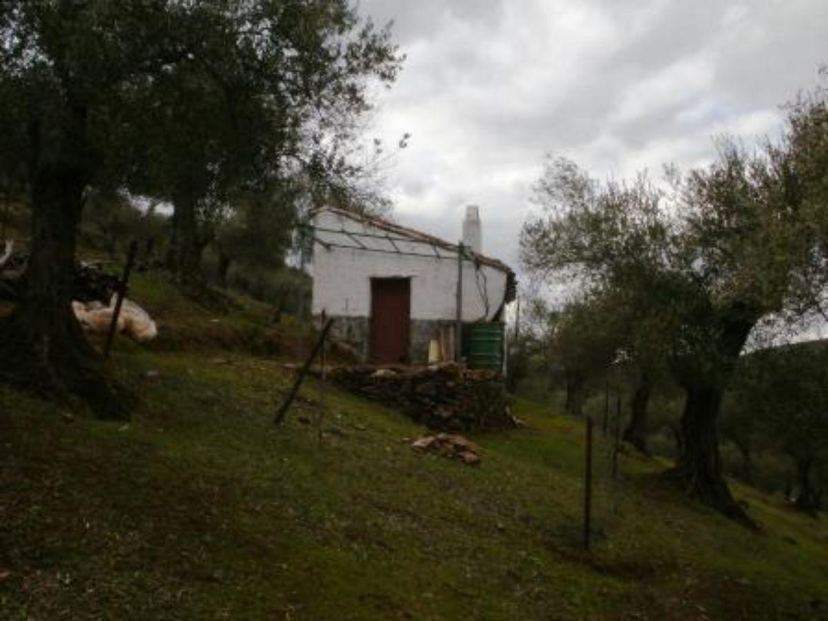 Venta de finca rústica en Fuentes de León