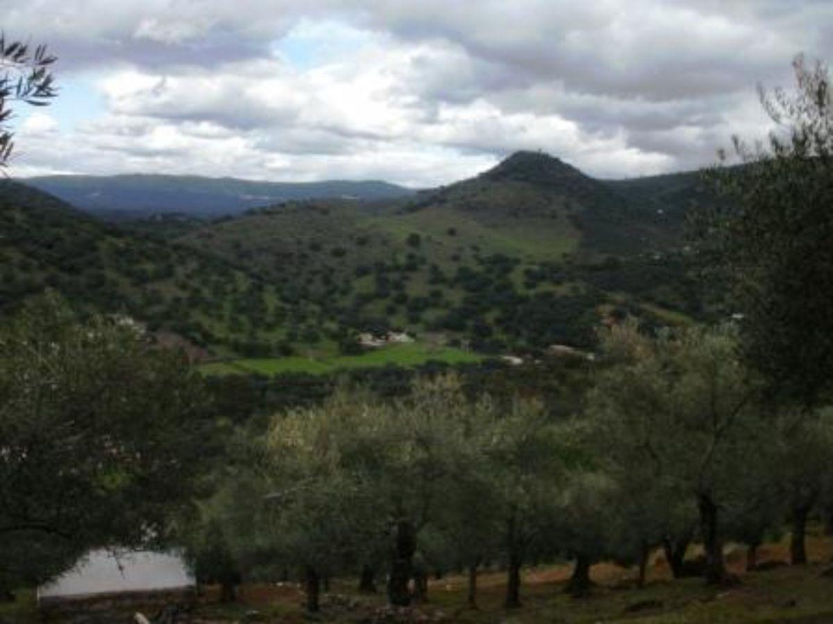 For sale of rural property in Fuentes de León