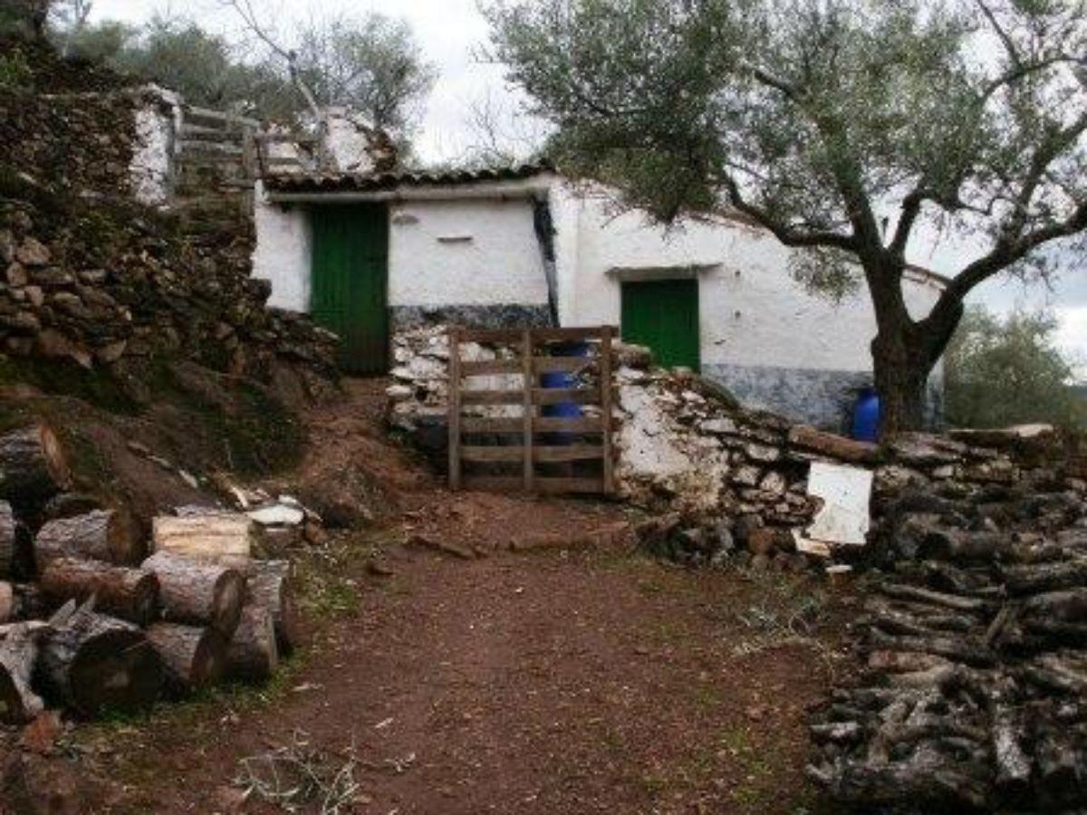 Venta de finca rústica en Fuentes de León