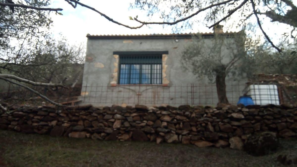 Venta de finca rústica en Fuentes de León