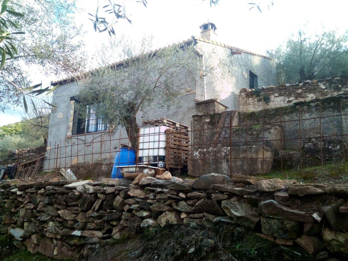 Venta de finca rústica en Fuentes de León