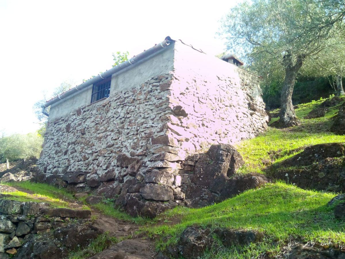 Venta de finca rústica en Fuentes de León