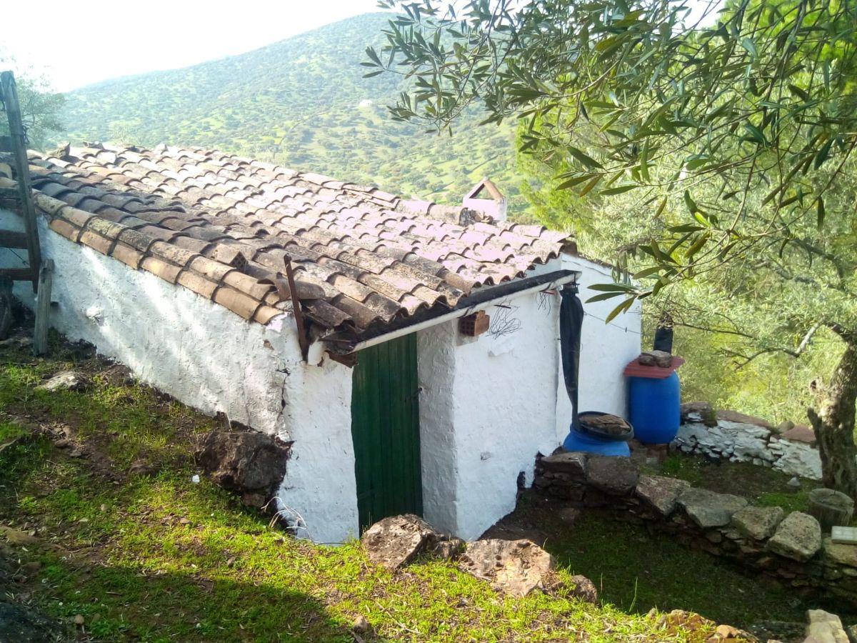 Venta de finca rústica en Fuentes de León