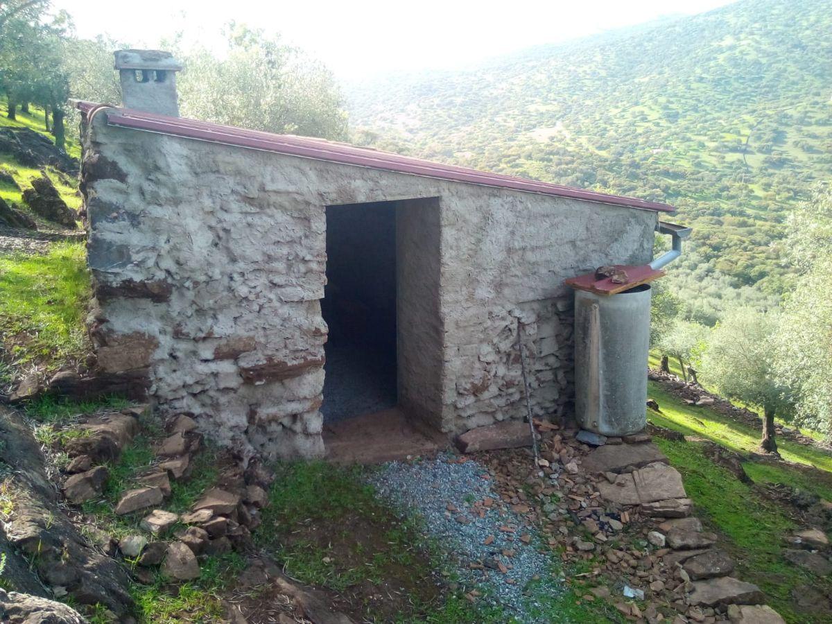 Venta de finca rústica en Fuentes de León