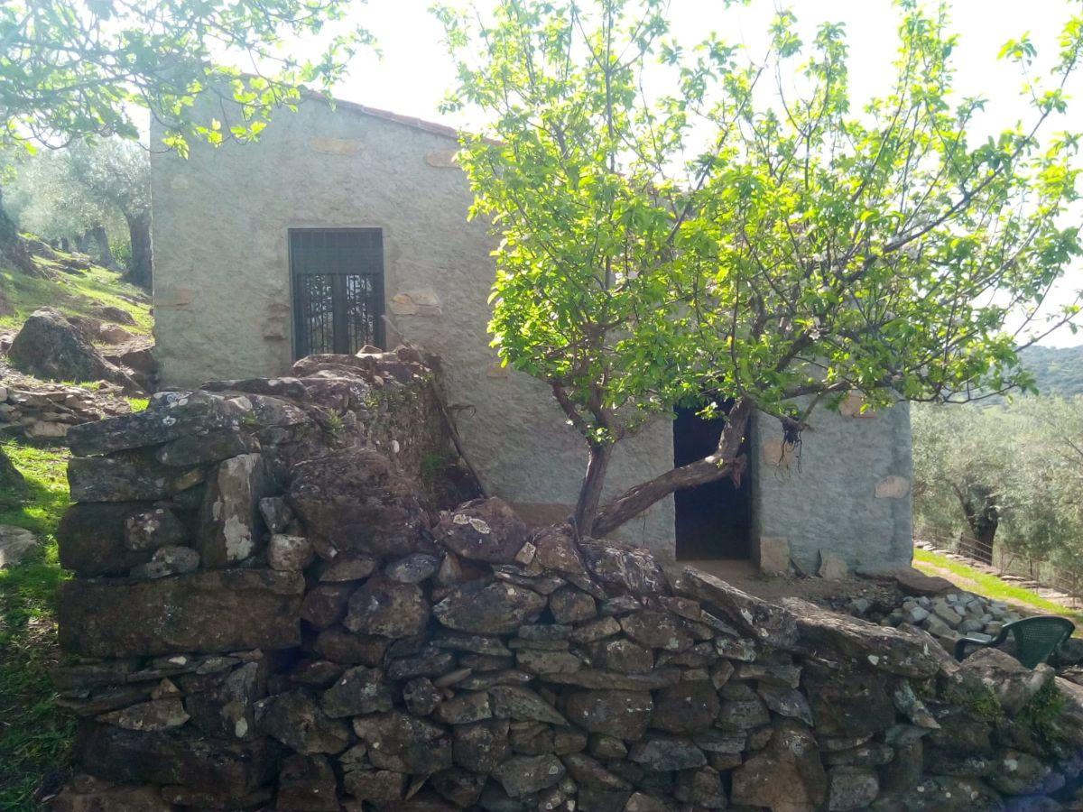 Venta de finca rústica en Fuentes de León