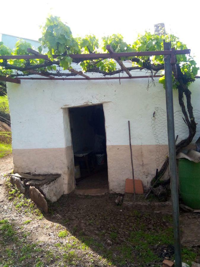 Venta de finca rústica en Fuentes de León