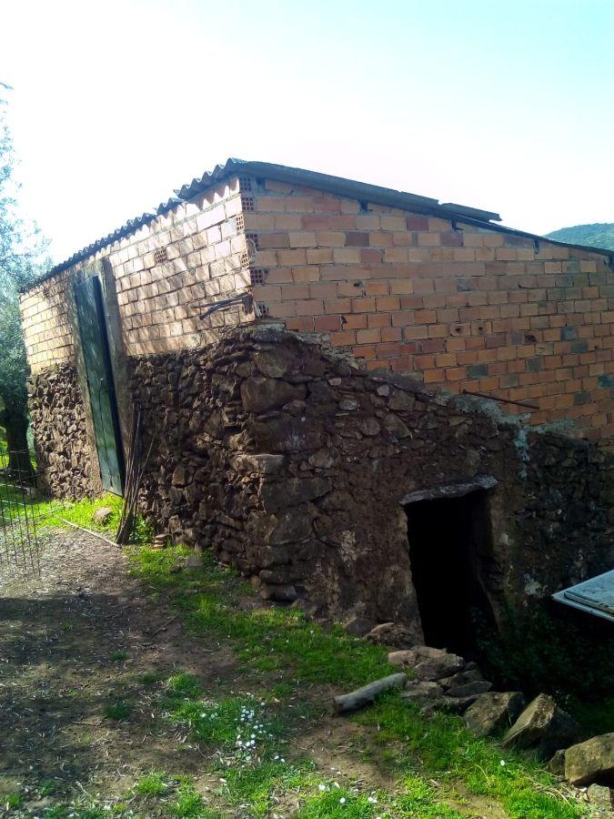 Venta de finca rústica en Fuentes de León