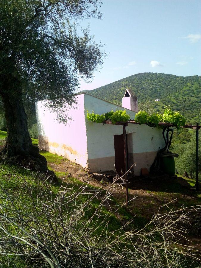 Venta de finca rústica en Fuentes de León