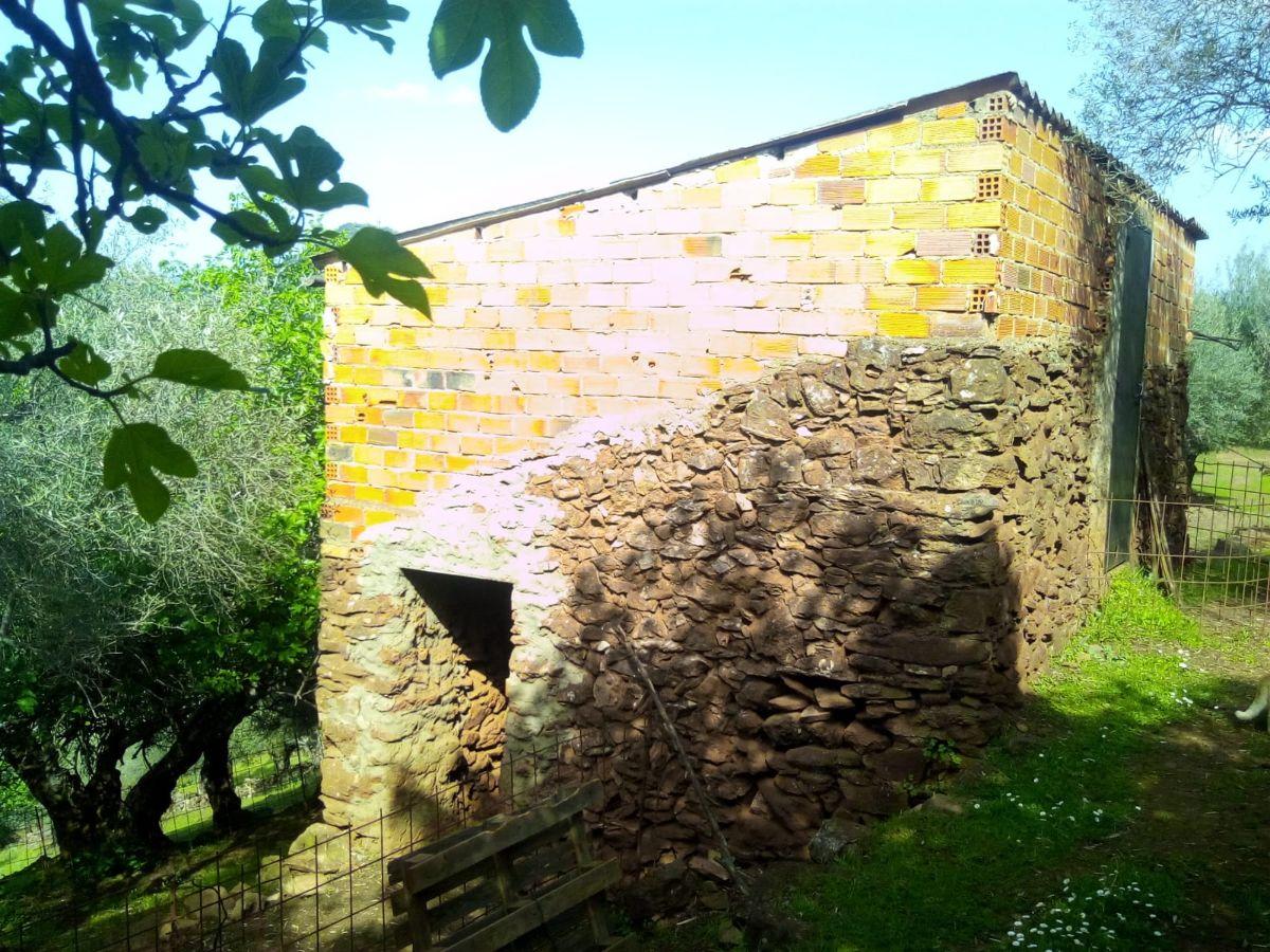 Venta de finca rústica en Fuentes de León