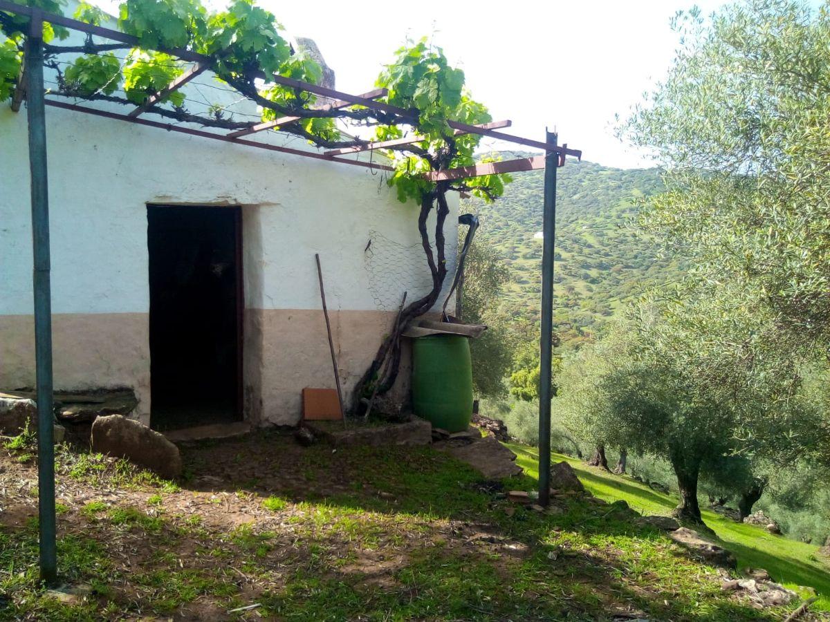 Venta de finca rústica en Fuentes de León