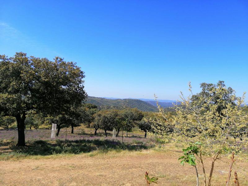 For sale of rural property in Arroyomolinos de León