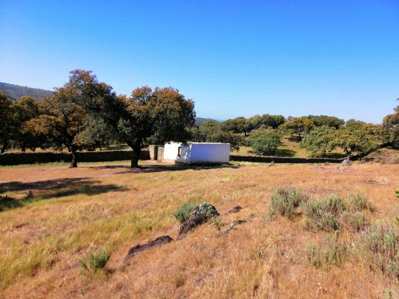 For sale of rural property in Arroyomolinos de León