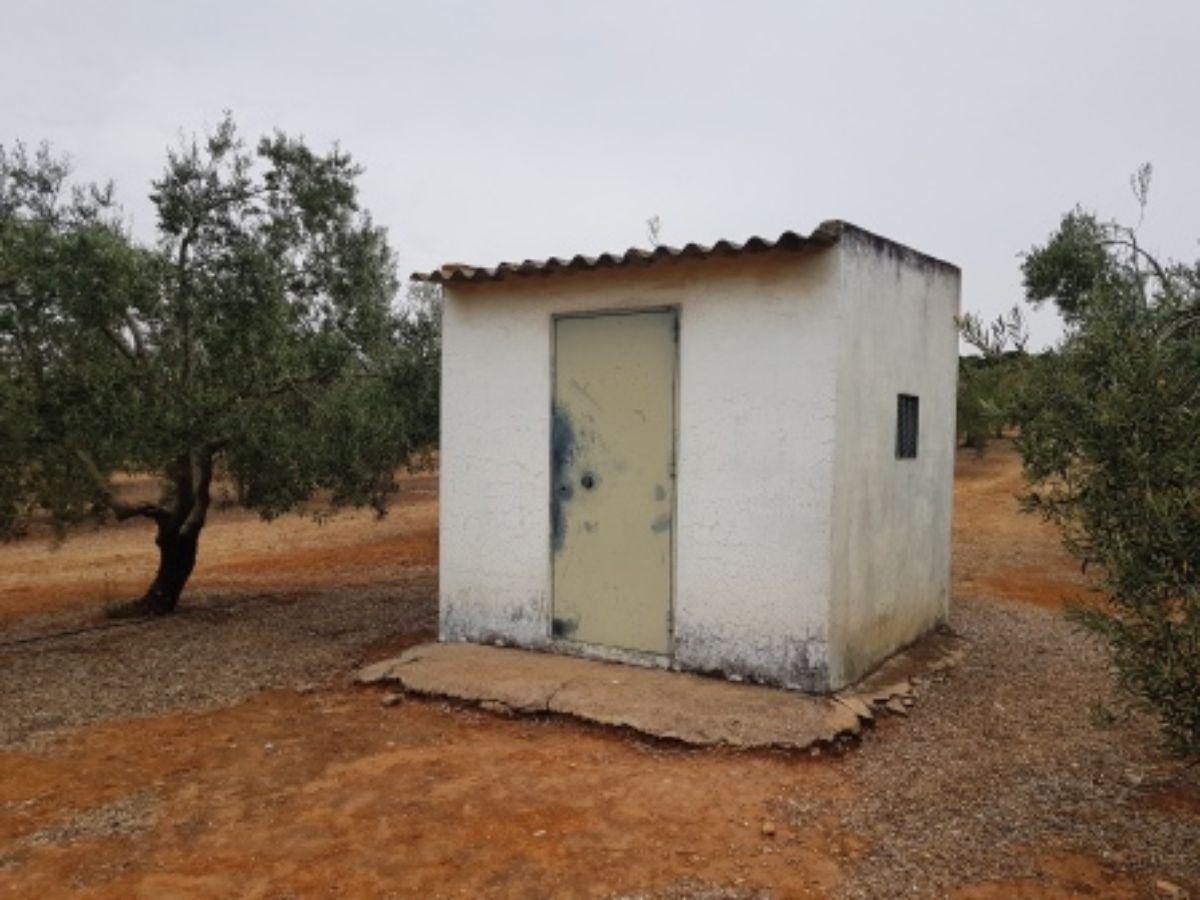 For sale of rural property in Mairena del Aljarafe