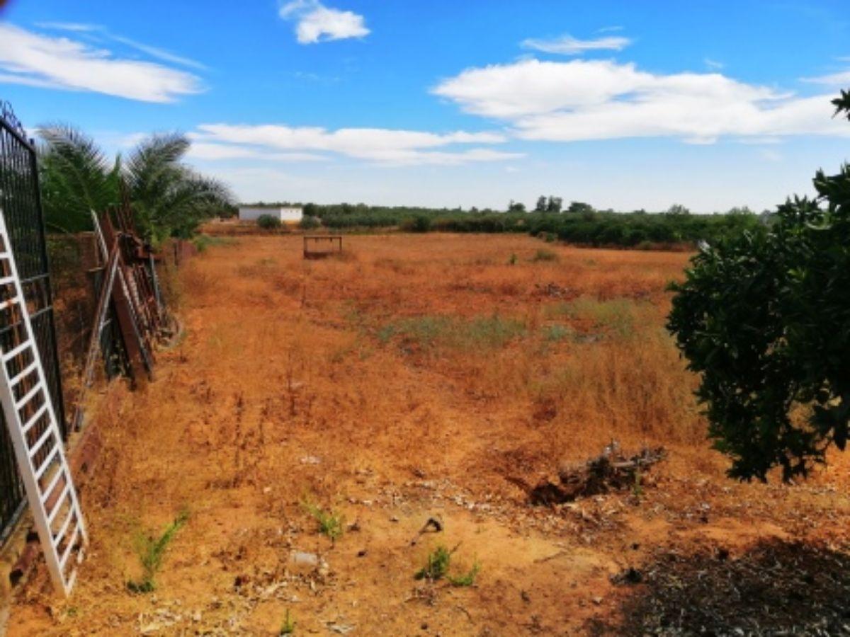 For sale of rural property in Villanueva del Ariscal