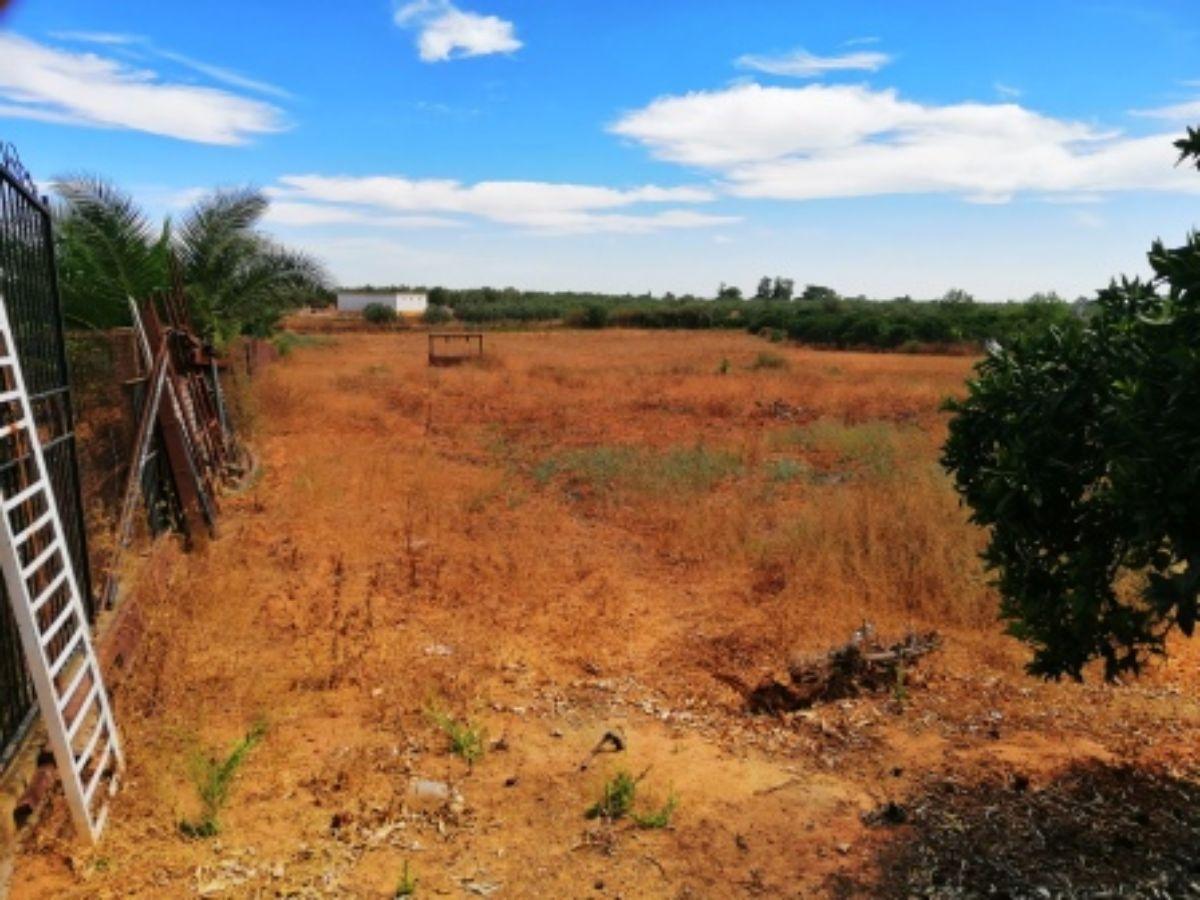 Venta de finca rústica en Villanueva del Ariscal