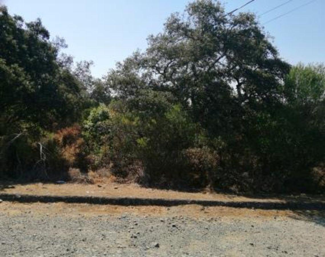 For sale of land in Guillena