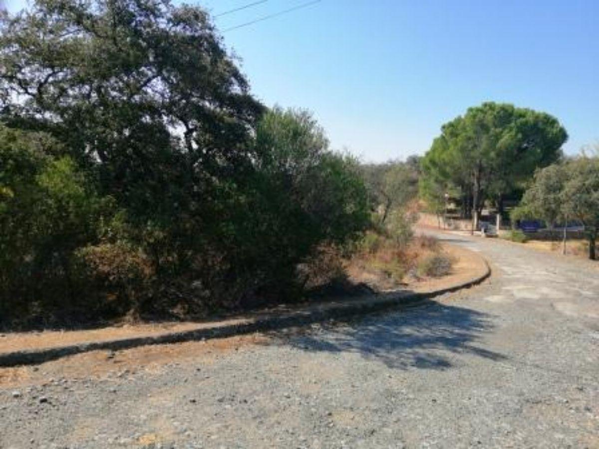 For sale of land in Guillena