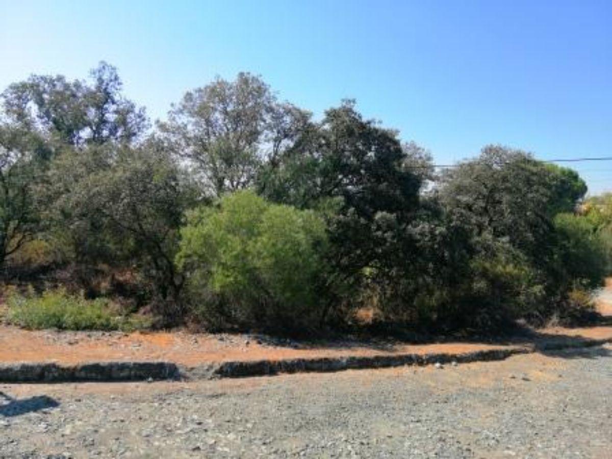 For sale of land in Guillena