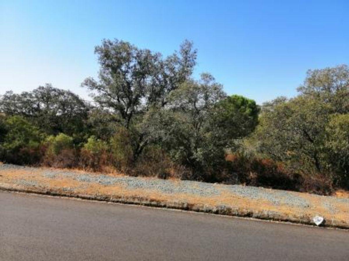 For sale of land in Guillena