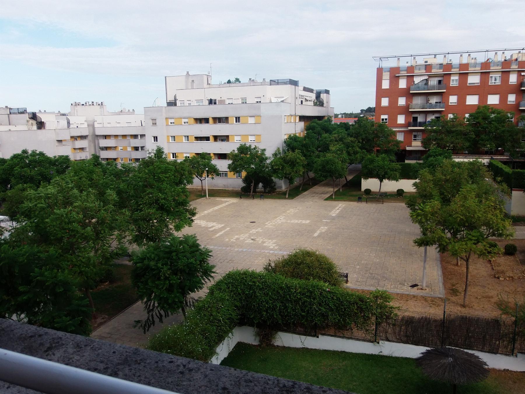 Vistas