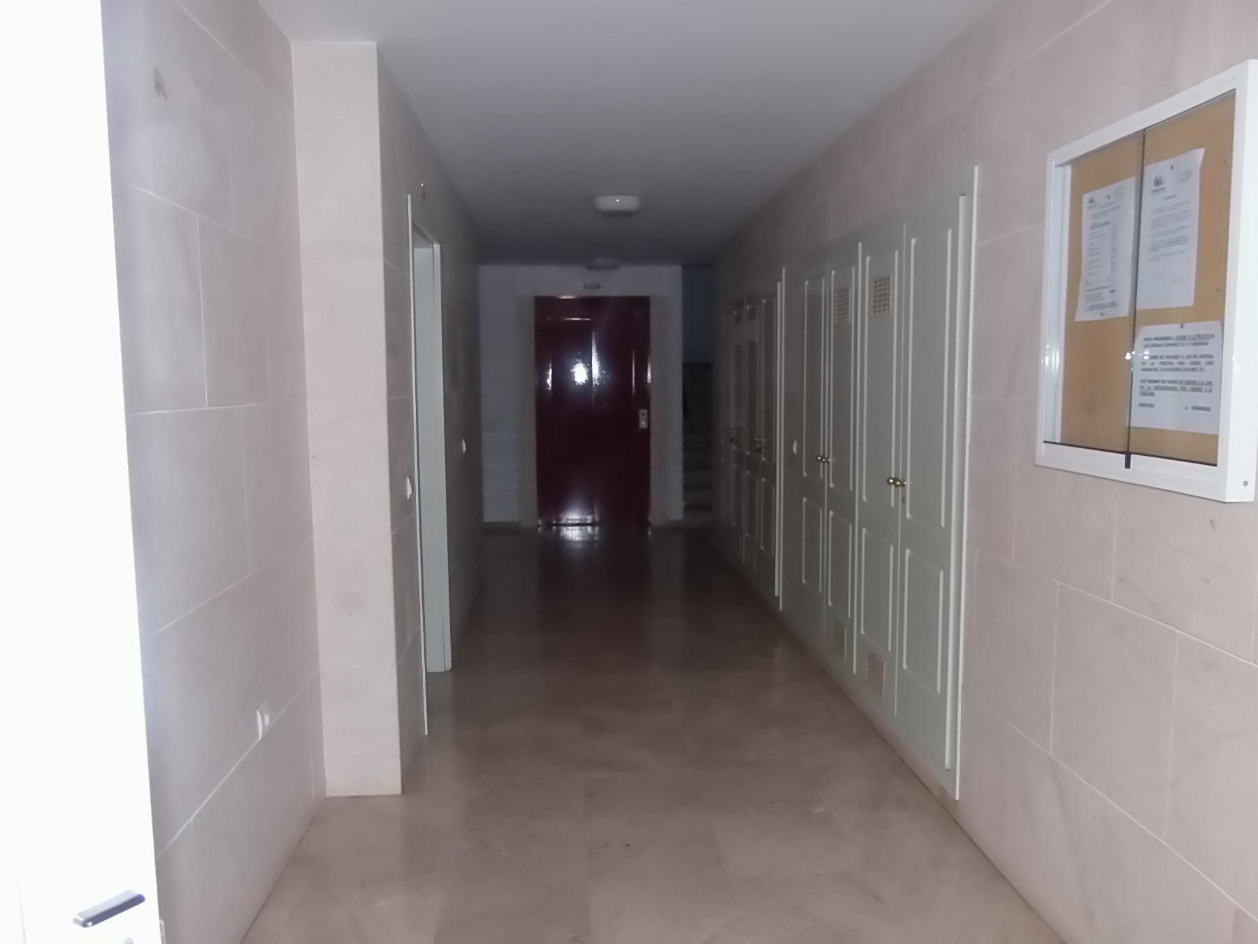 Entrada/Salida