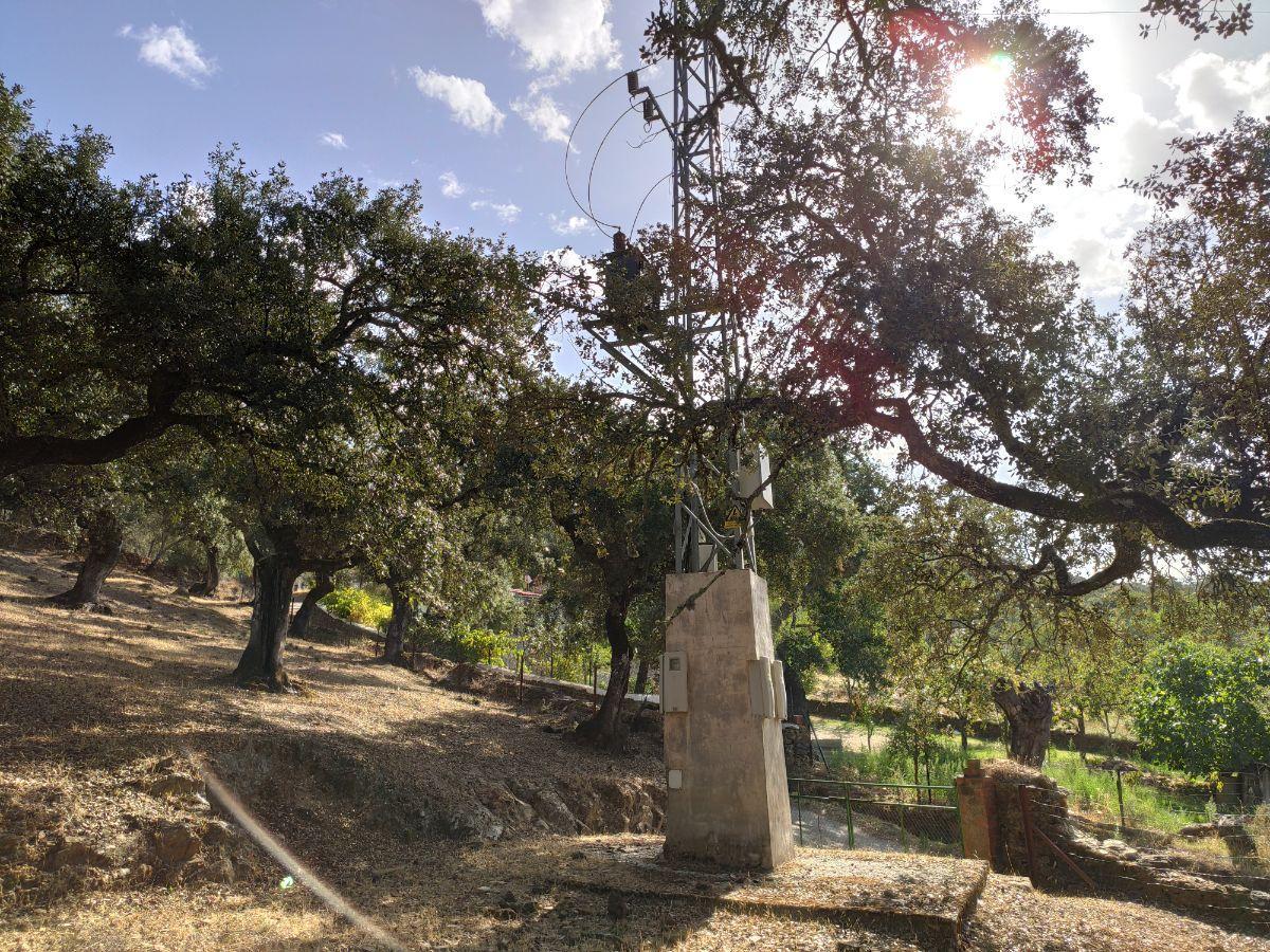 Venta de finca rústica en Cabeza la Vaca