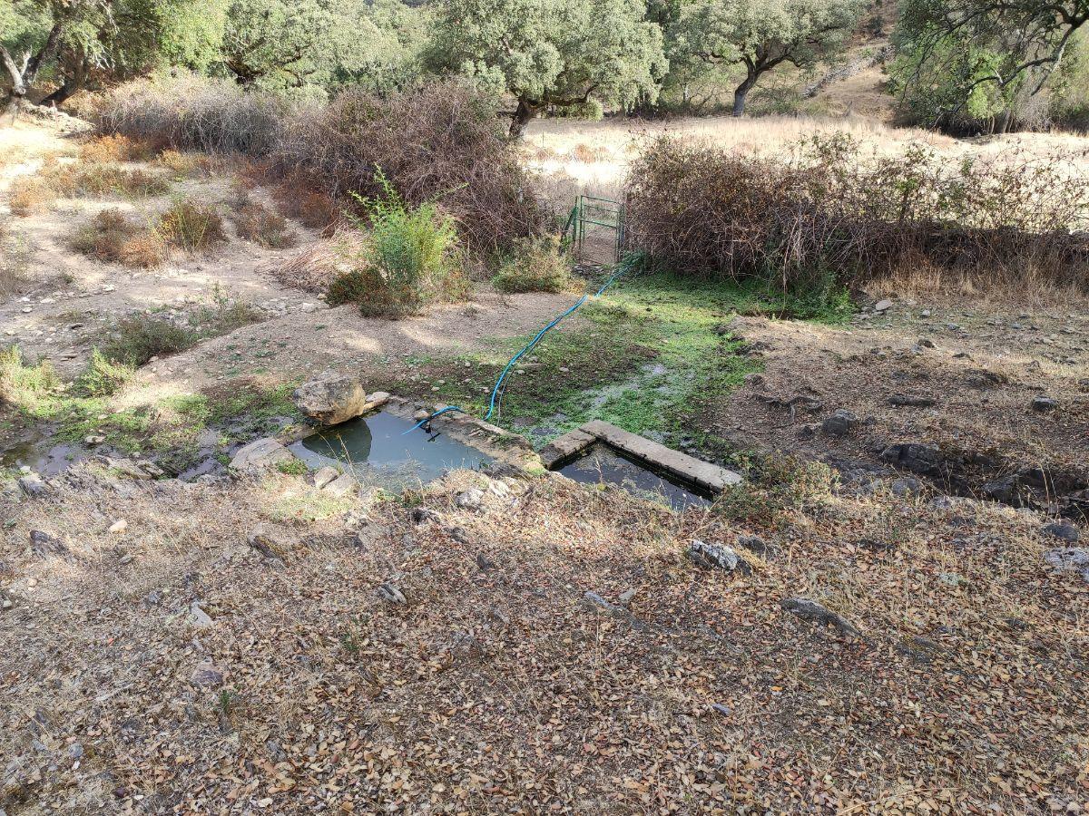 Venta de finca rústica en Cabeza la Vaca