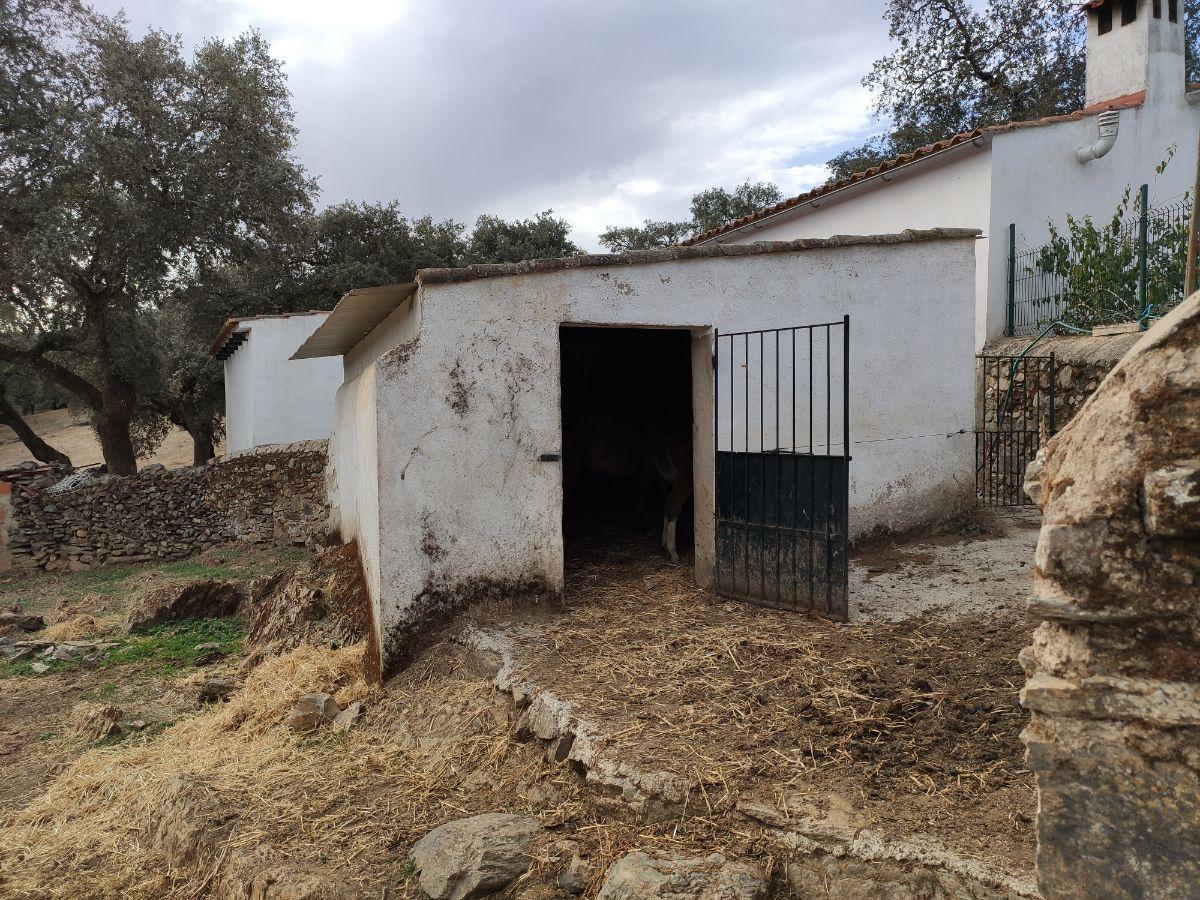 Venta de finca rústica en Cabeza la Vaca